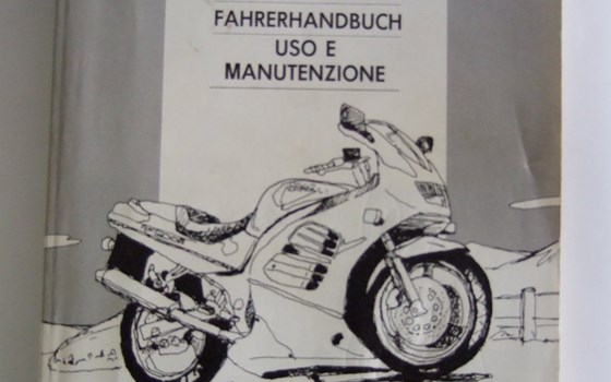 Suzuki Fahrerhandbuch RF600R (R=1994) - Bild 1