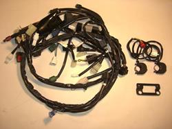 Yec-ECU und Kabelbaum R1 Yec-ECU und Kabelbaum R1