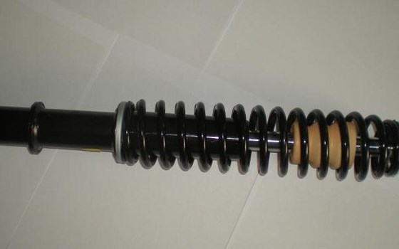 Stoßdämpfer vorne AIXAM - Bild 1