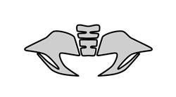 Lackschutz Folien F800GT für BMW F800S, F800ST & F800GT