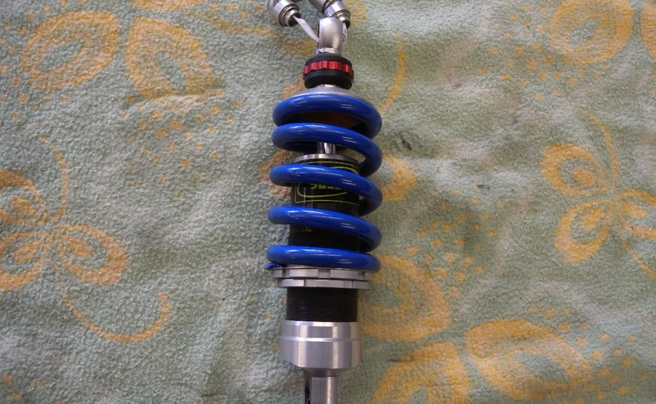 Wilbers Federbein Bild 1: Wilbers Federbein