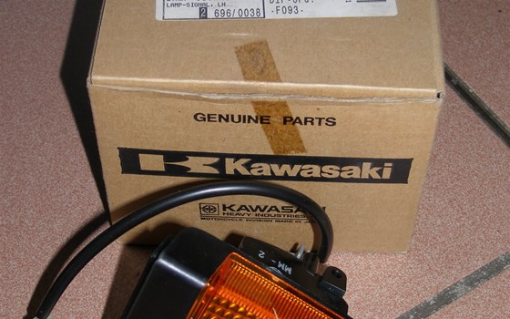 Blinker hinten links - Bild 1