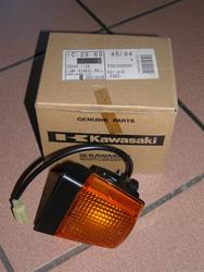 Blinker hinten links