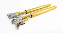 Öhlins FGR 300 Telegabel Rennsport - FGR 301