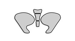 Lackschutz Folien für BMW K1200S