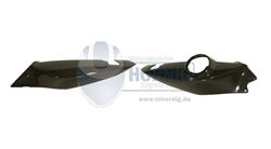 Carbon Heckverkleidung für BMW F800S, F800ST & F800GT