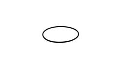 O-Ring Zylinderfuß groß für BMW R 80 Modelle