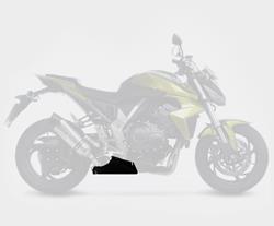 LeoV Carbon Hitzeschild CB1000R`08-