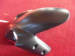 Carbonkotflügel MTS1200