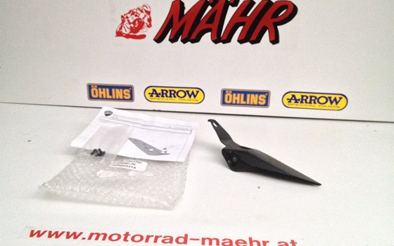 Carbon Kettenschutzflosse Panigale 899/959 - Bild 1