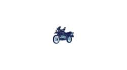 Pin R 100 GS PD Classic für BMW R 100 Modelle Pin R 100 GS PD Classic für BMW R 100 Modelle