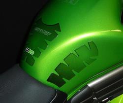 Kawasaki Tankpad ER-6f