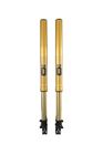 Öhlins Öhlins Telegabel Adventure - FFHO 101
