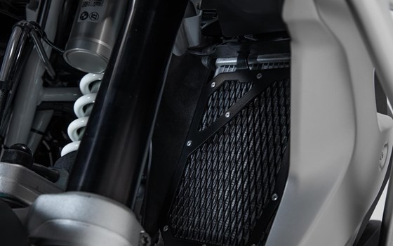 Kühlerschutz. Schwarz. BMW R 1200 GS (16-18), R 1250 GS (18-). - Bild 5