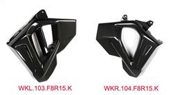 Carbon Kühlerverkleidung für BMW F800R