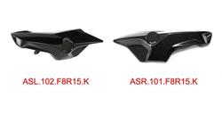 Carbon Luftführung für BMW F800R