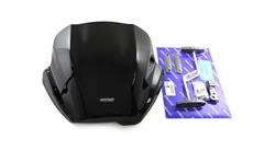 Speed Screen für BMW F800R