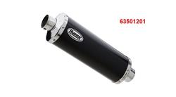 HURRIC Rac 1 Auspuff für BMW F800R