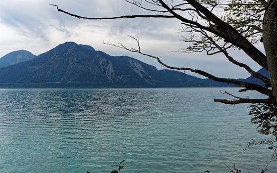 Tiroler Kurvenkarussell - 5 Fahrtage - Bild 19