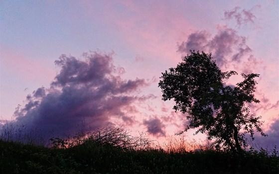 Tiroler Kurvenkarussell - 5 Fahrtage - Bild 24