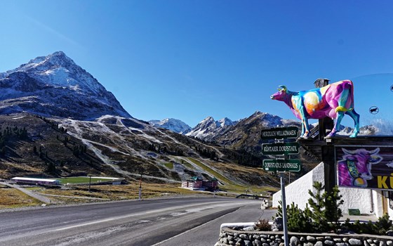 Tiroler Kurvenkarussell - 5 Fahrtage - Bild 3