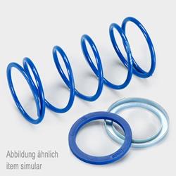 Kontrastfeder Polini EvoSlider 243.093