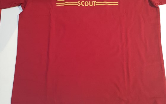 Das Skript-Logo-T-Shirt der Männer - Bild 1