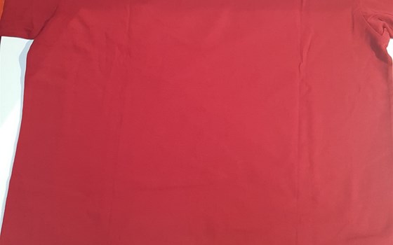 Das Skript-Logo-T-Shirt der Männer - Bild 2