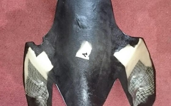 Ducati 899 1199 1299 Kotflügel GFK - Bild 2