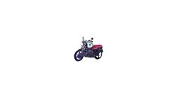 Pin R 1100 R für BMW R850R, R1100R, R1150R & Rockster Pin R 1100 R für BMW R850R, R1100R, R1150R & Rockster