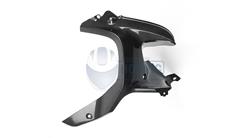 Carbon Luftauslass rechts Adventure für BMW R 1200 GS LC (2013-2018) & R 1200 GS Adventure LC (2014-2018)