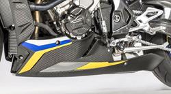 Carbon Motorspoiler für BMW S1000R (2014-2020)
