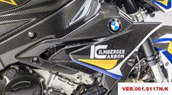 Carbon Verkleidungsseitenteile für BMW S1000R (2014-2020)