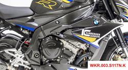 Carbon Seitenverkleidung für BMW S1000R (2014-2020)