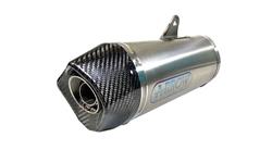 ARROW RACE TECH Schalldämpfer für BMW S1000R (2014-2020)
