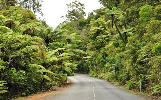 Geführte Motorradreise Neuseeland - 24 T. "Best of NZ" - Bild 9