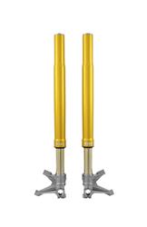 Öhlins FGR 250 USD Telegabel Rennsport - FGR 250 Öhlins FGR 250 USD Telegabel Rennsport - FGR 250