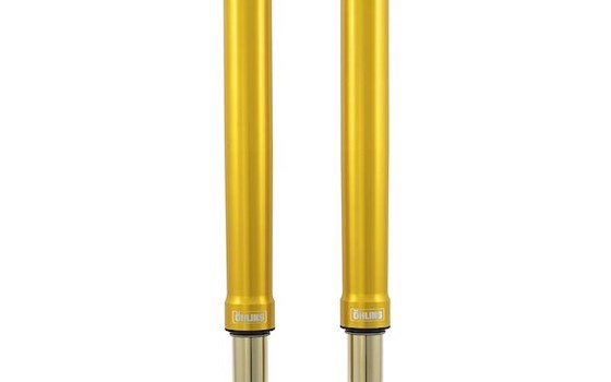 Öhlins FGR 250 USD Telegabel Rennsport - FGR 250 - Bild 1