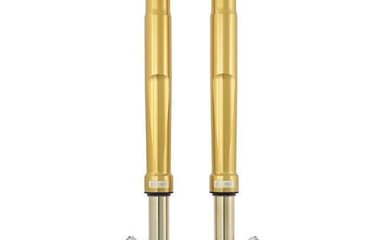 Öhlins FGRT Upside Down Gabel Road & Track - FGRT 232 - Bild 1