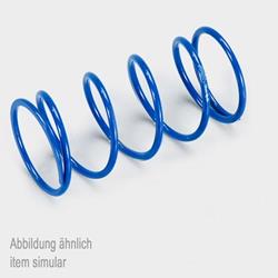 Kontrastfeder MaxiScooter Polini 243.081