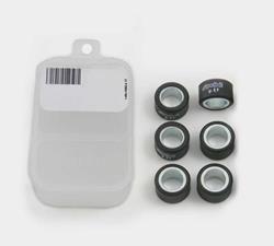 Fliehgewichte Polini 20x17 10,0g 6Stk.