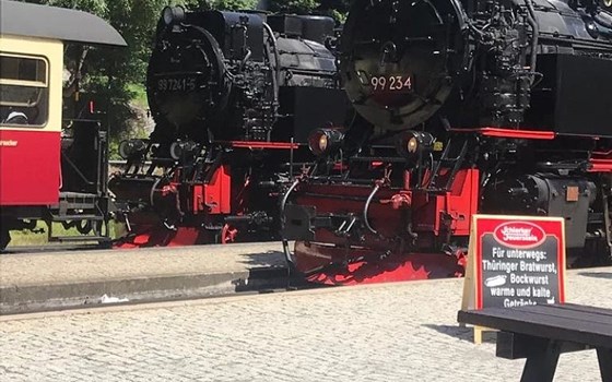 Harz - kurvig, herzlich - 2 Fahrtage - Bild 3