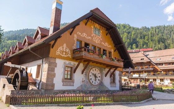 Schwarzwälder Kurvenswing - 2 Fahrtage - Bild 5