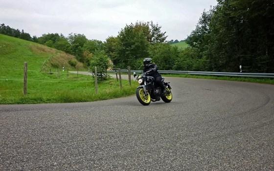 Schwarzwald mit allen Sinnen - 2 Fahrtage - Bild 5