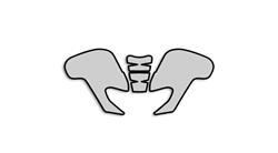 Lackschutz Folien für BMW F800S, F800ST & F800GT