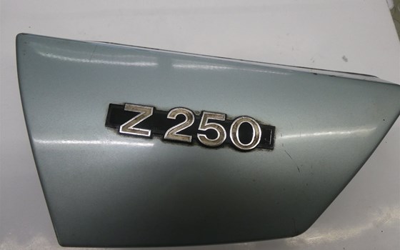 Seitendeckel links hellblau Z250 - Bild 1