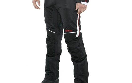 DANE FANO 2 SOMMER - Bild 2