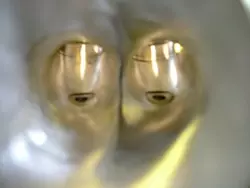 16 Ventil-Zylinderkopf: Kanäle und Brennräume strömungstechnisch optimieren 16 Ventil-Zylinderkopf: Kanäle und Brennräume strömungstechnisch optimieren