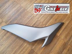 Verkleidung vorne rechts Verkleidung vorne rechts