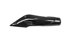 Carbon Luftführung rechts für BMW R nine T